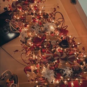 Meet your Posher, Raul